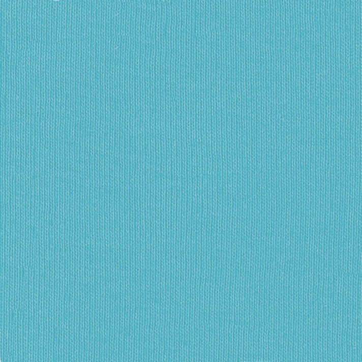 BLANK Bella Canvas Short Sleeve T-Shirt_TURQUOISE_ADULT SIZE