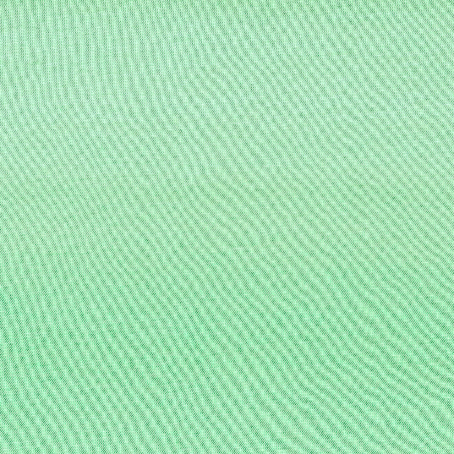 BLANK Bella Canvas Short Sleeve T-Shirt_MINT_YOUTH SIZE