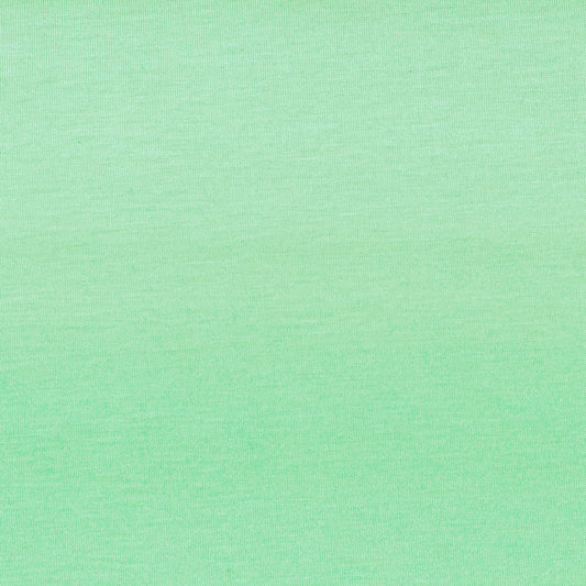 BLANK Bella Canvas Short Sleeve T-Shirt_MINT_ADULT SIZE