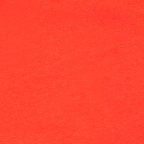 BLANK Bella Canvas Short Sleeve T-Shirt_POPPY_ADULT SIZE