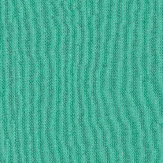 BLANK Bella Canvas Short Sleeve T-Shirt_TEAL _ADULT SIZE