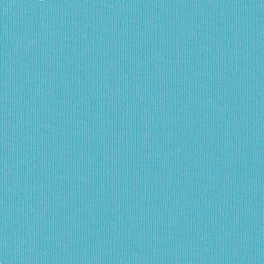BLANK Bella Canvas Short Sleeve T-Shirt_TURQUOISE_ADULT SIZE